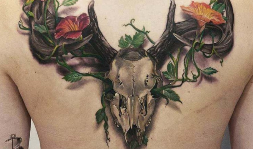 Deer Skull Tattoo Designs Ideas And Meanings Petpress