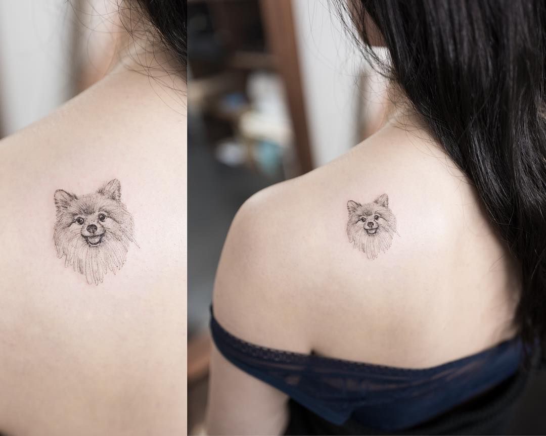 The 14 Tiniest Pomeranian Tattoos PetPress