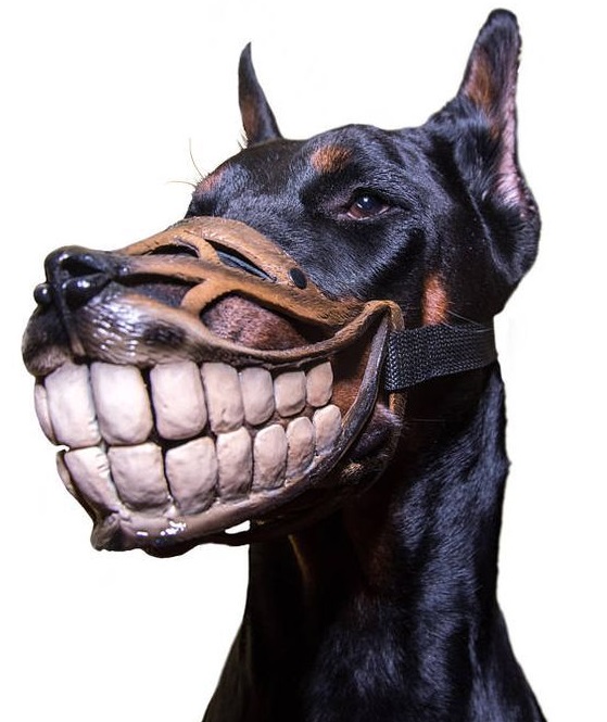 14 Amazing Halloween Costumes For Doberman Pinschers PetPress