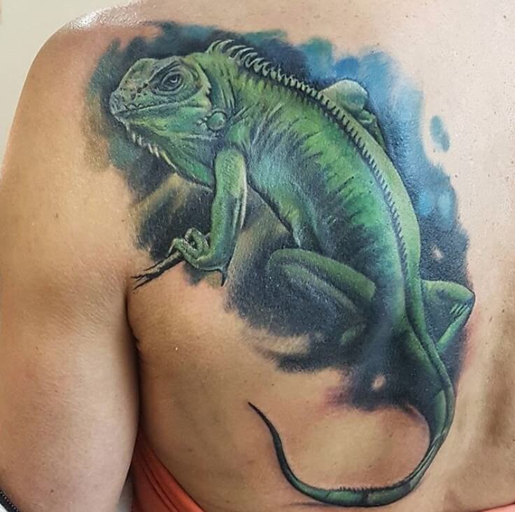 28 Best Iguana Tattoo Designs PetPress