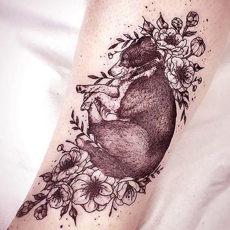 The 14 Rarest Australian Shepherd Tattoos PetPress