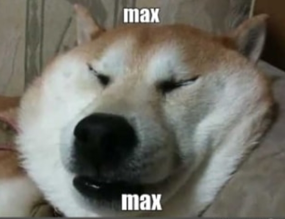 The 14 Funniest Akita Inu Memes of All Time | Page 3 of 3 | PetPress
