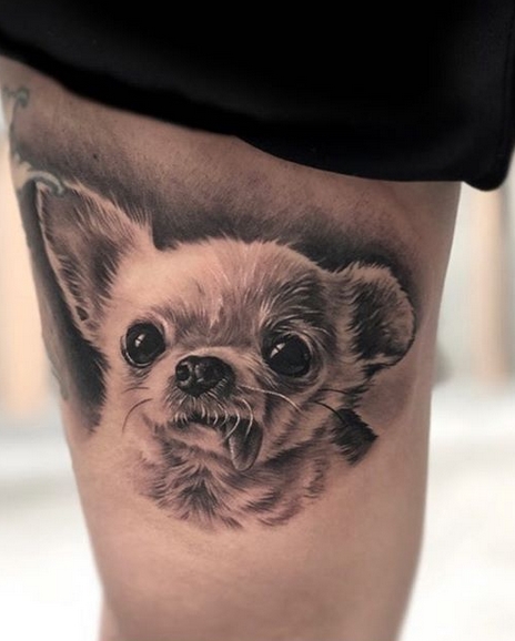 14 Realistic Dog Tattoos For Chihuahua Lovers | PetPress