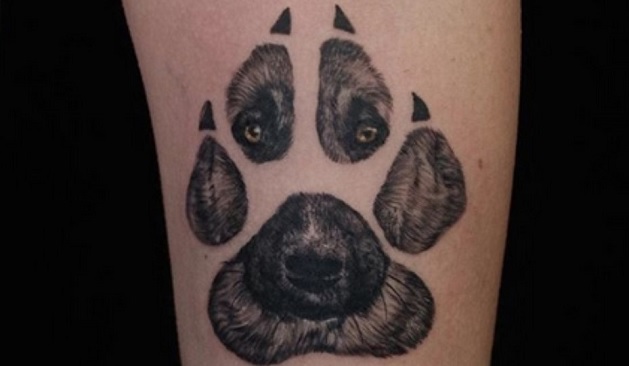 15 Tattoo Design Ideas For German Shepherd Lovers Petpress