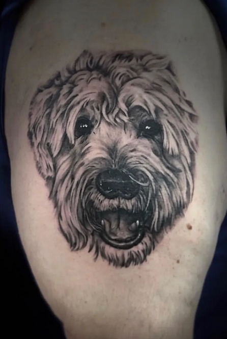14 Goldendoodle Tattoo Ideas For the Breed Lovers | PetPress