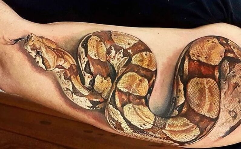 33-coolest-python-tattoo-designs-petpress