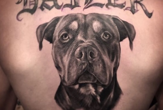 Rottweiler Tattoo Ideas