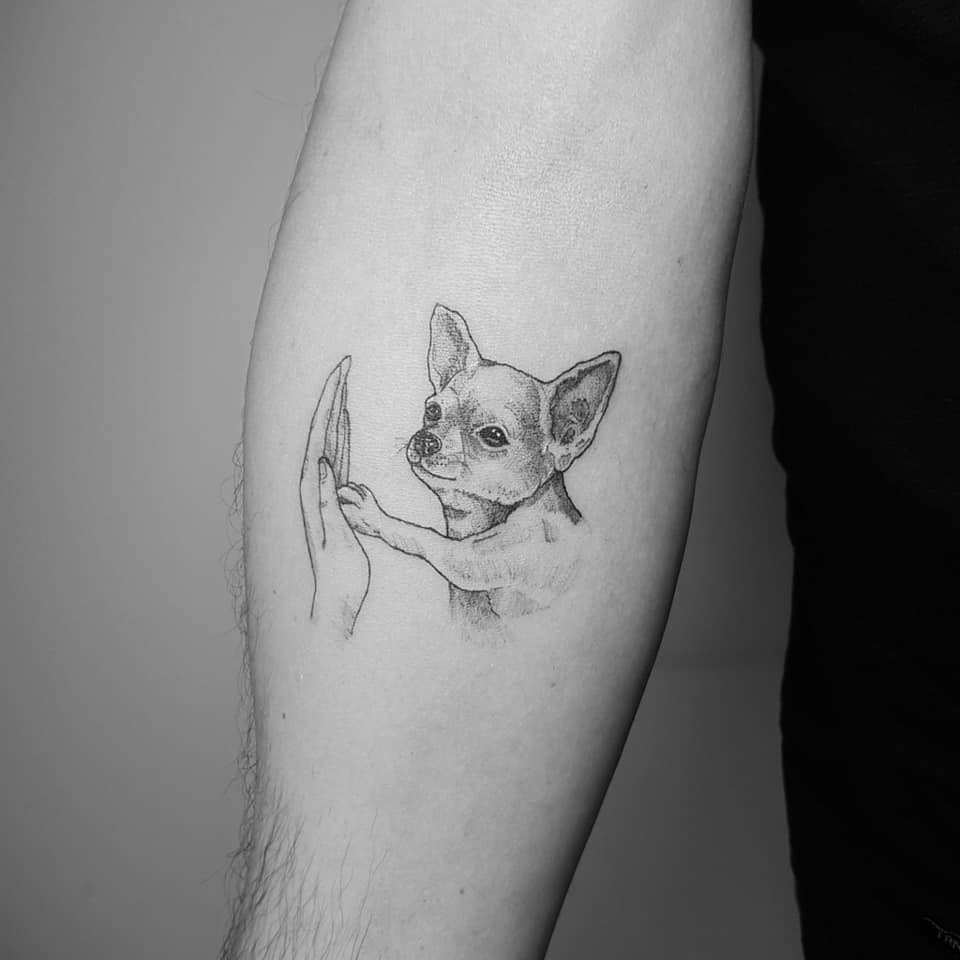 14 Of The Best Chihuahua Tattoo Ideas Ever PetPress