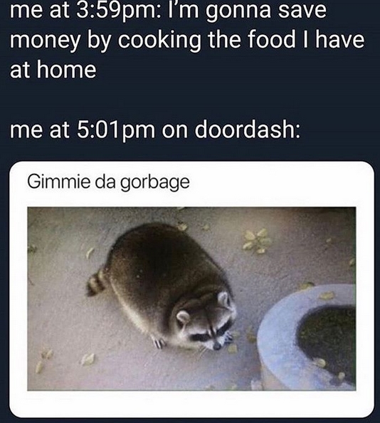 14 Funny Raccoon Memes That Will Make Your Day Petpress