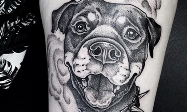 Tattoo Rottweiler 15 Beautiful Tattoo Designs For Rottweiler Owners - PetPress