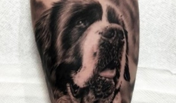 The 14 Coolest Saint Bernard Tattoo Ideas For Owners And Breed Lovers Petpress