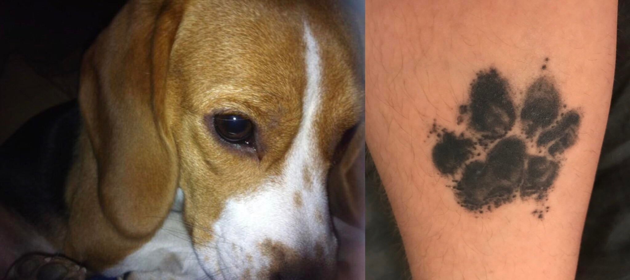 27 Of The Best Beagle Dog Tattoo Ideas Ever | PetPress