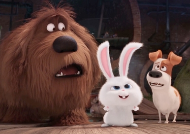 24 Dog Names Inspired by Secret Life of Pets | PetPress