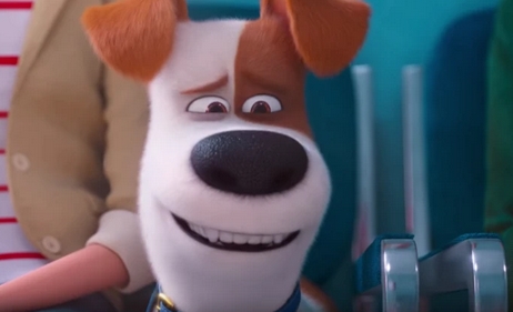 24 Dog Names Inspired by Secret Life of Pets | PetPress