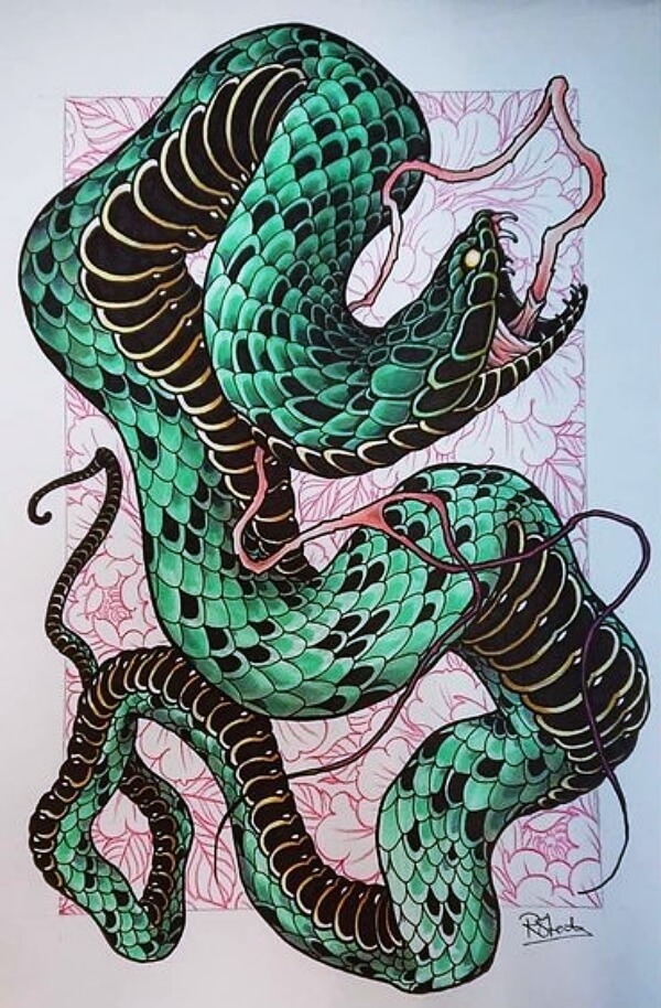 Viper Snake Tattoo Designs - 19 Viper Ideas Snake Art Snake Tattoo Snake : Snake tattoo designs may take the form of serpents, vipers or of intriguing traditional snake patterns.