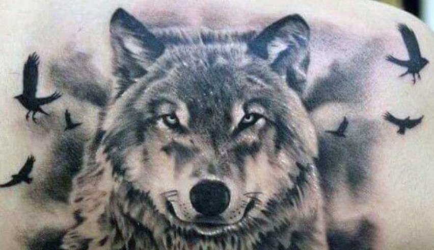 21 Coolest Wolf Head Tattoo Designs Ideas Petpress