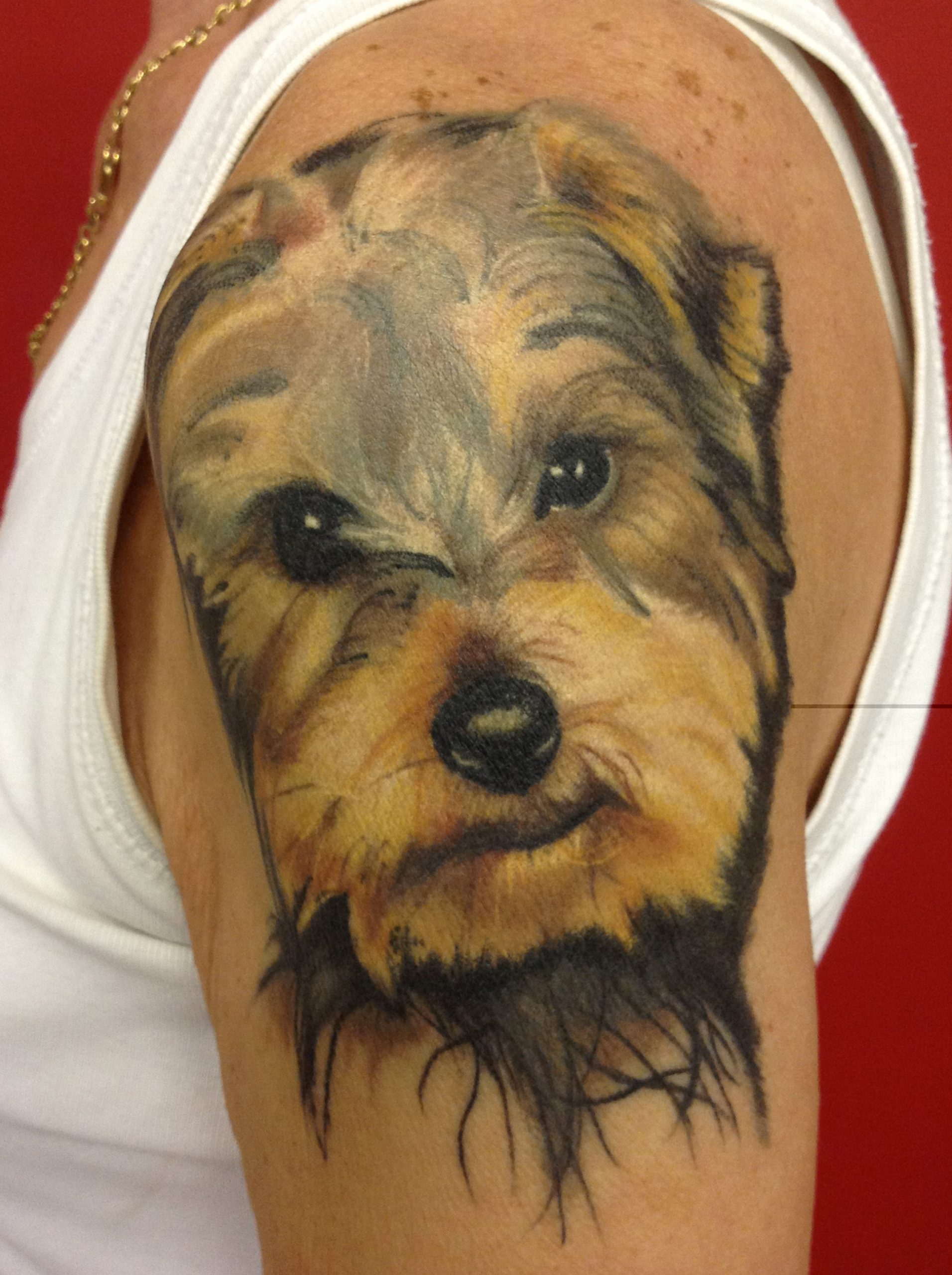 15 Of The Best Yorkshire Terrier Tattoo Ideas Ever PetPress