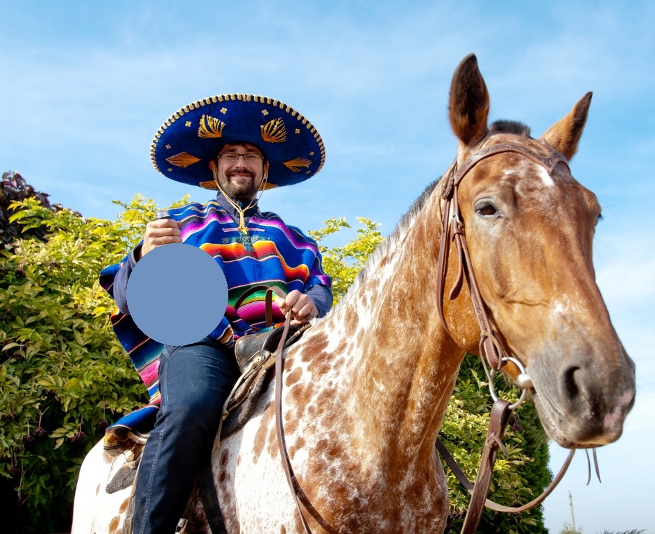 Top 75 Popular Mexican Horse Names Petpress