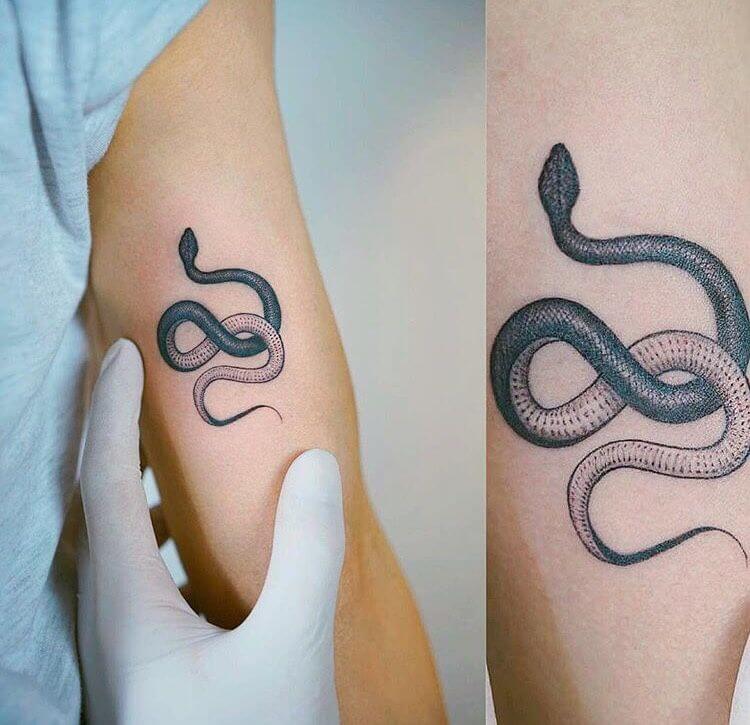 15+ Black and White Snake Tattoo Designs PetPress