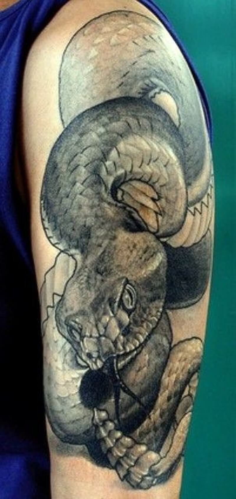 25+ Black and Grey Snake Tattoo Designs | PetPress