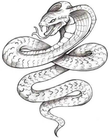 Tattoo Drawing Ideas