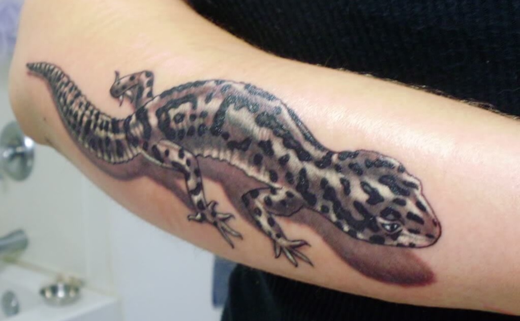 27 Gecko Tattoo Designs & Ideas PetPress