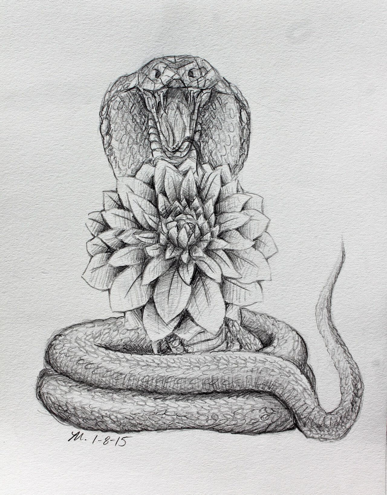 36+ Best Snake And Flower Tattoo Designs & Meanings | PetPress