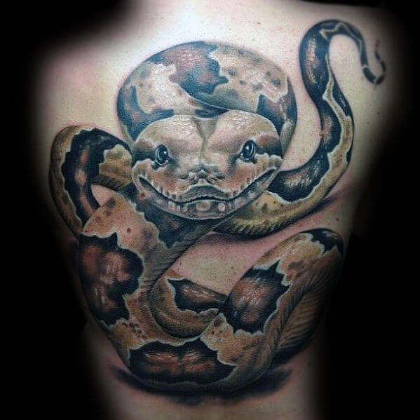 Top 12 Anaconda Tattoo Ideas PetPress