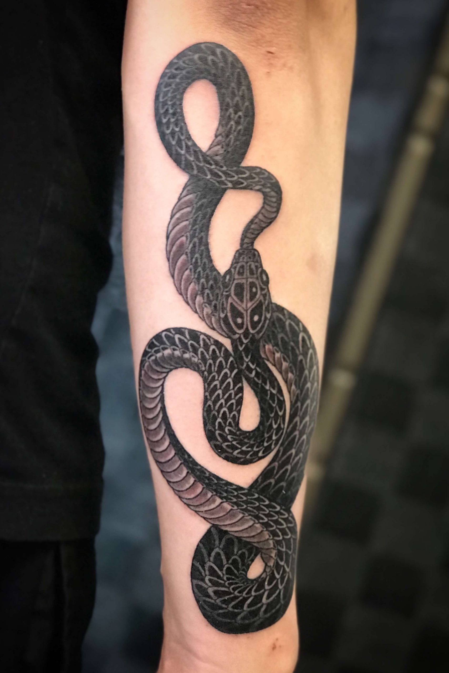 10+ Best Black Mamba Snake Tattoo Designs & Meanings | PetPress