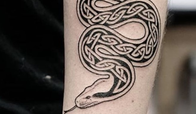 15 Celtic Snake Tattoo Designs - PetPress