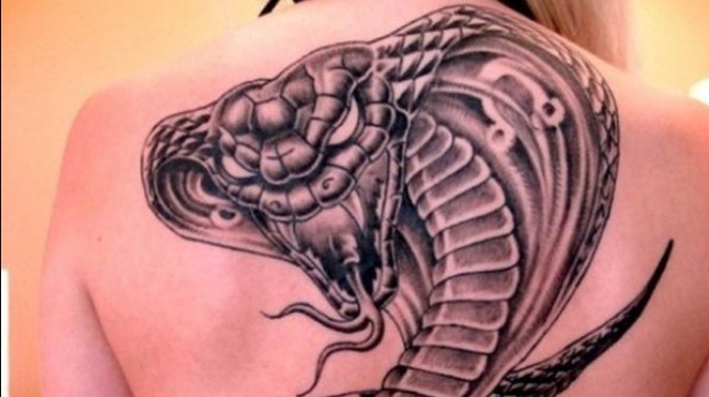 15 Awesome Cobra Back Tattoo  Designs PetPress