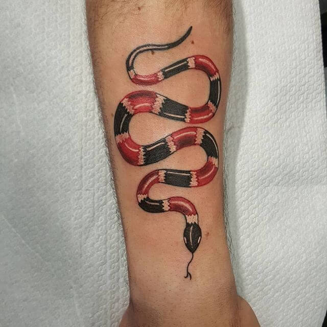 Top 14 Coral Snake Tattoo Ideas PetPress