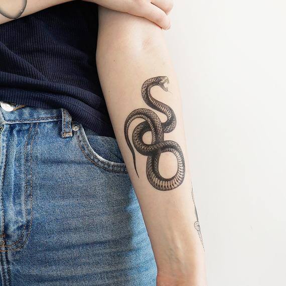 20 Serpent Tattoo Ideas For Men & Women | PetPress