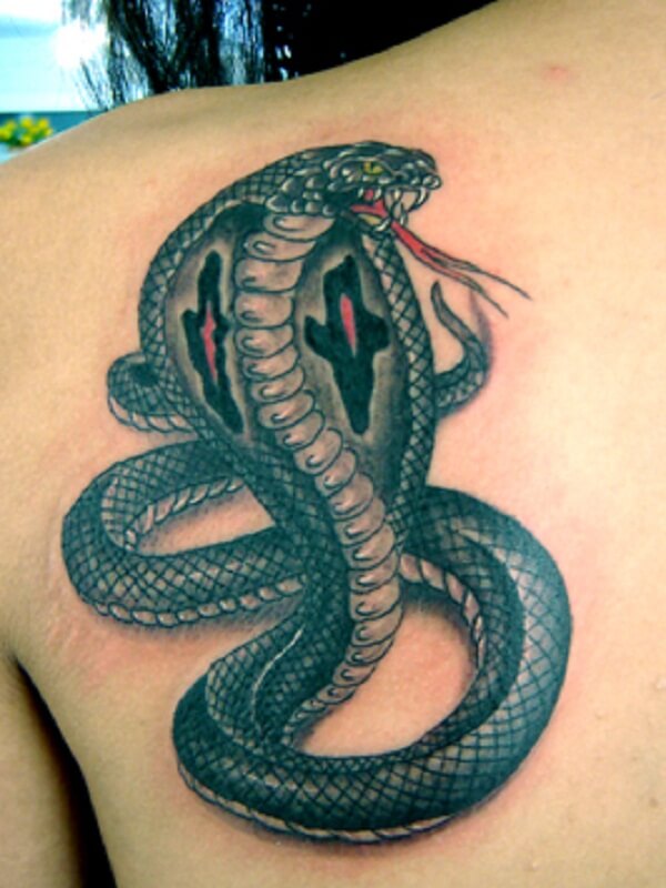 21+ King Cobra Tattoo Designs & Ideas | PetPress
