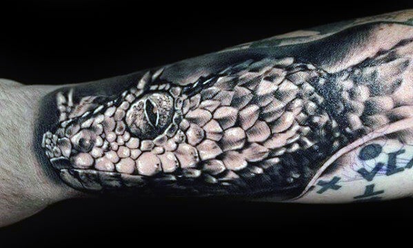 Rattlesnake Head Tattoo Designs - wide 7