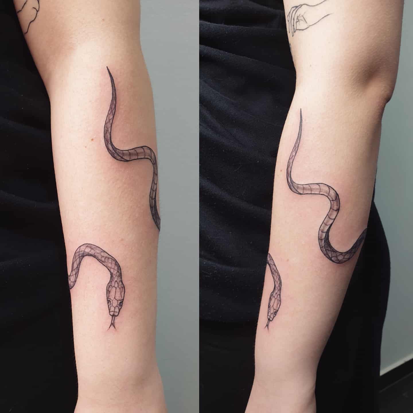 40+ Best Snake Arm Tattoo Design Ideas | PetPress