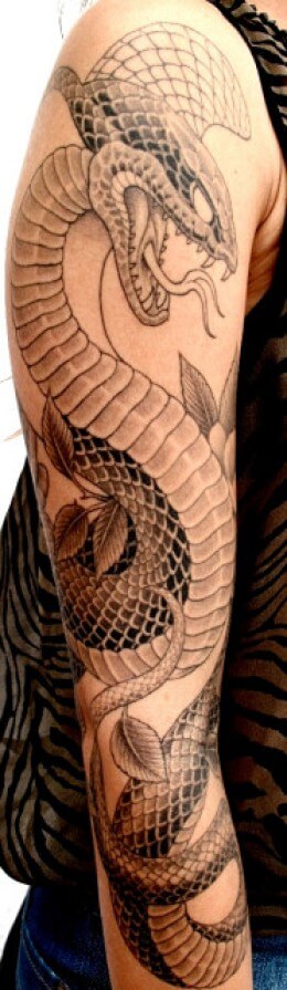 17 Snakes Wrapped Around Arm Tattoo Designs & Ideas | PetPress