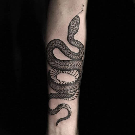 17 Snakes Wrapped Around Arm Tattoo Designs & Ideas PetPress