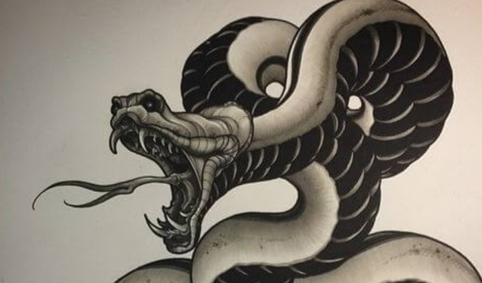 15 Traditional Japanese Snake Tattoo Designs Petpress