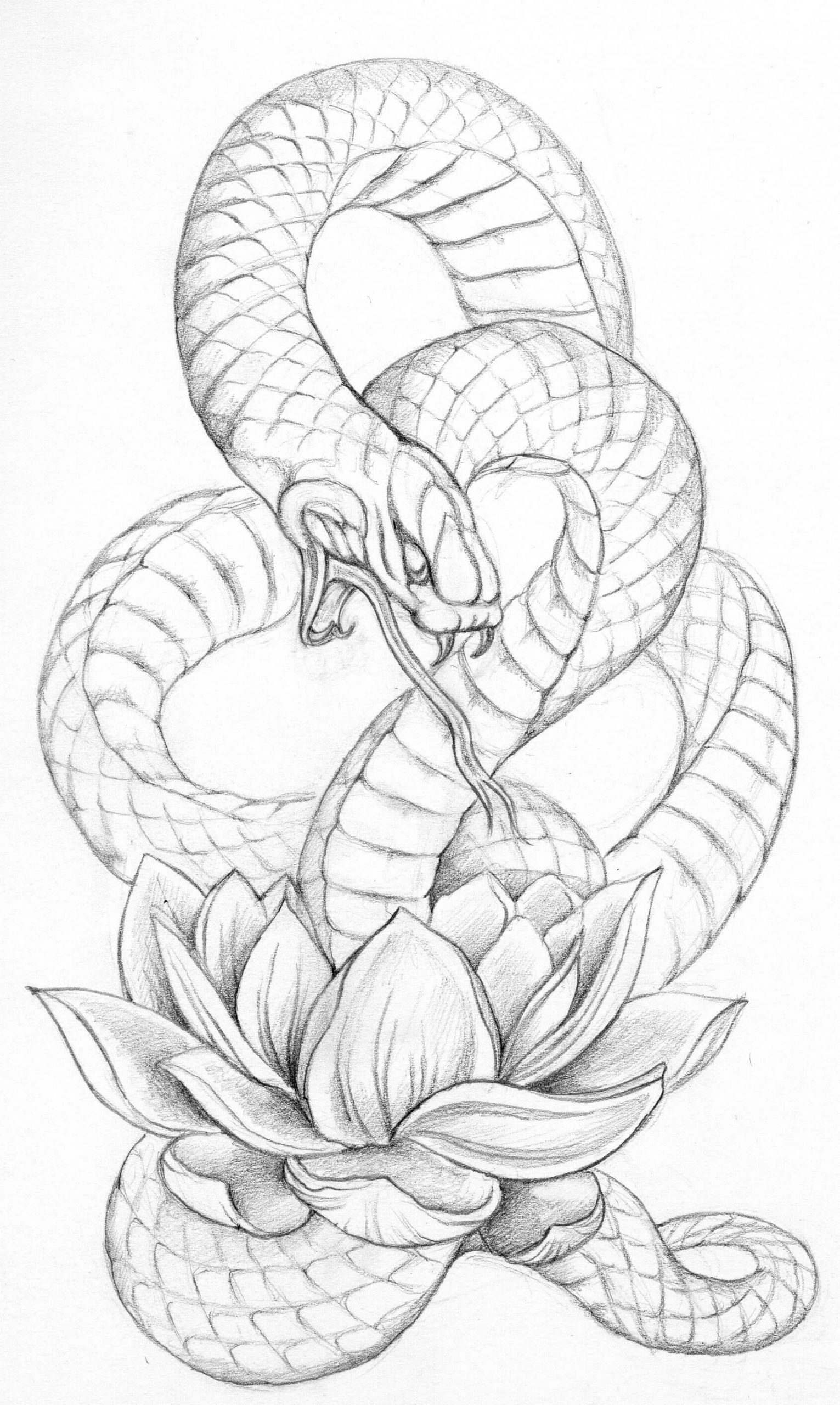 21 Realistic Snake Tattoo Drawing Ideas PetPress