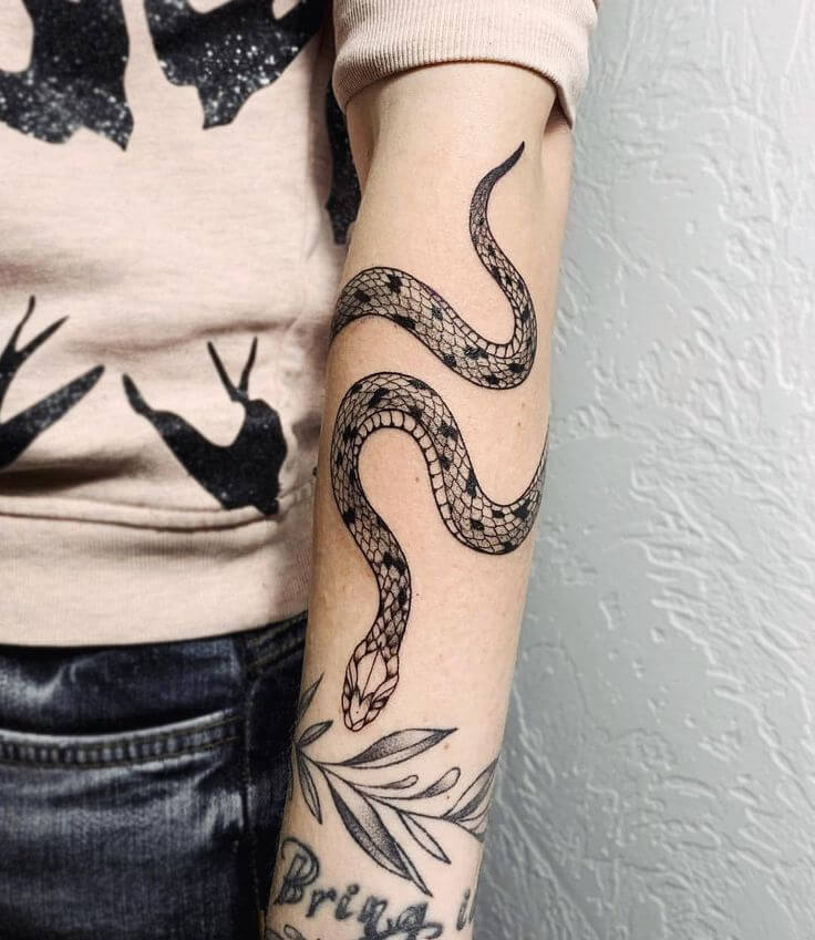 40+ Best Snake Arm Tattoo Design Ideas PetPress