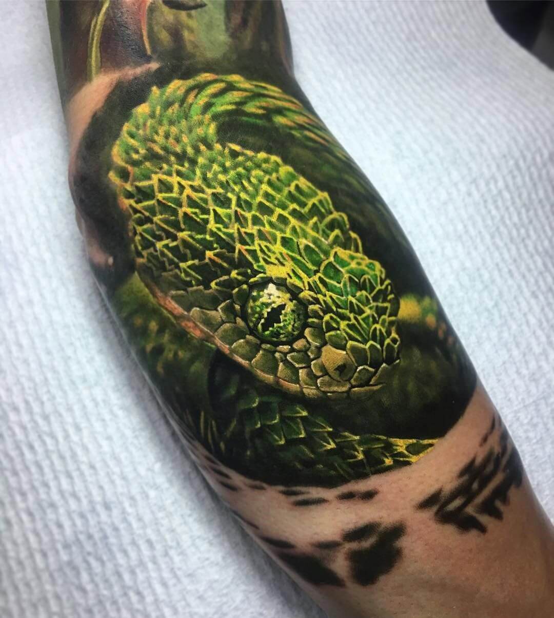 14+ Viperid Snake Tattoo Designs and Ideas PetPress