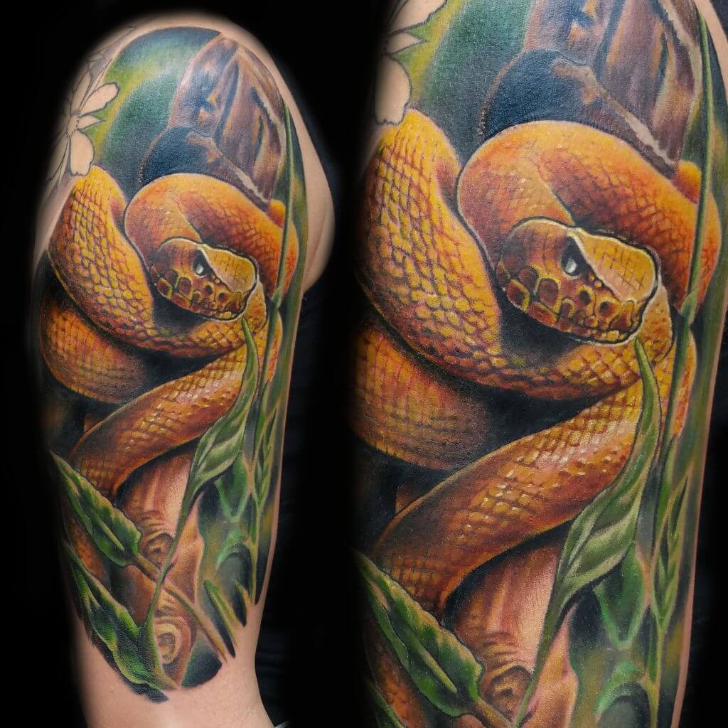 14 Viperid Snake Tattoo  Designs  and Ideas  PetPress