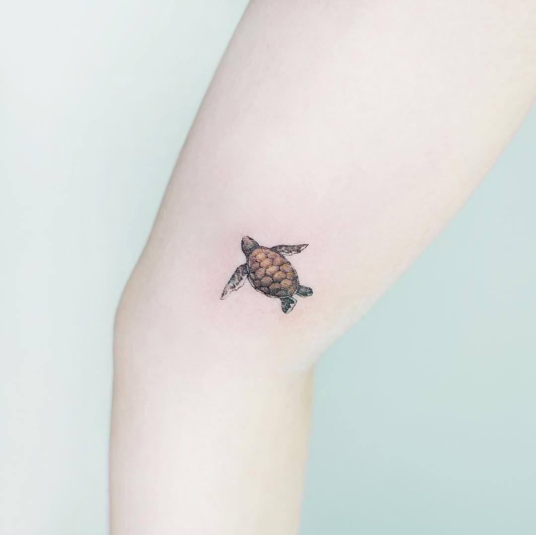 14+ Cute Baby Turtle Tattoo Designs | PetPress