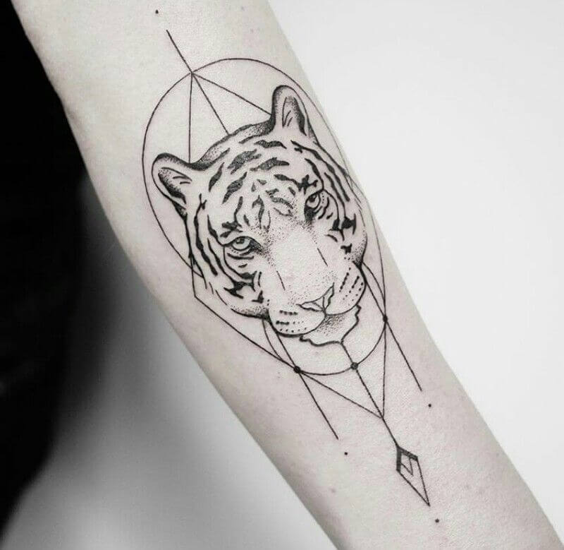 12+ Best Geometric Tiger Tattoo Designs and Ideas | PetPress