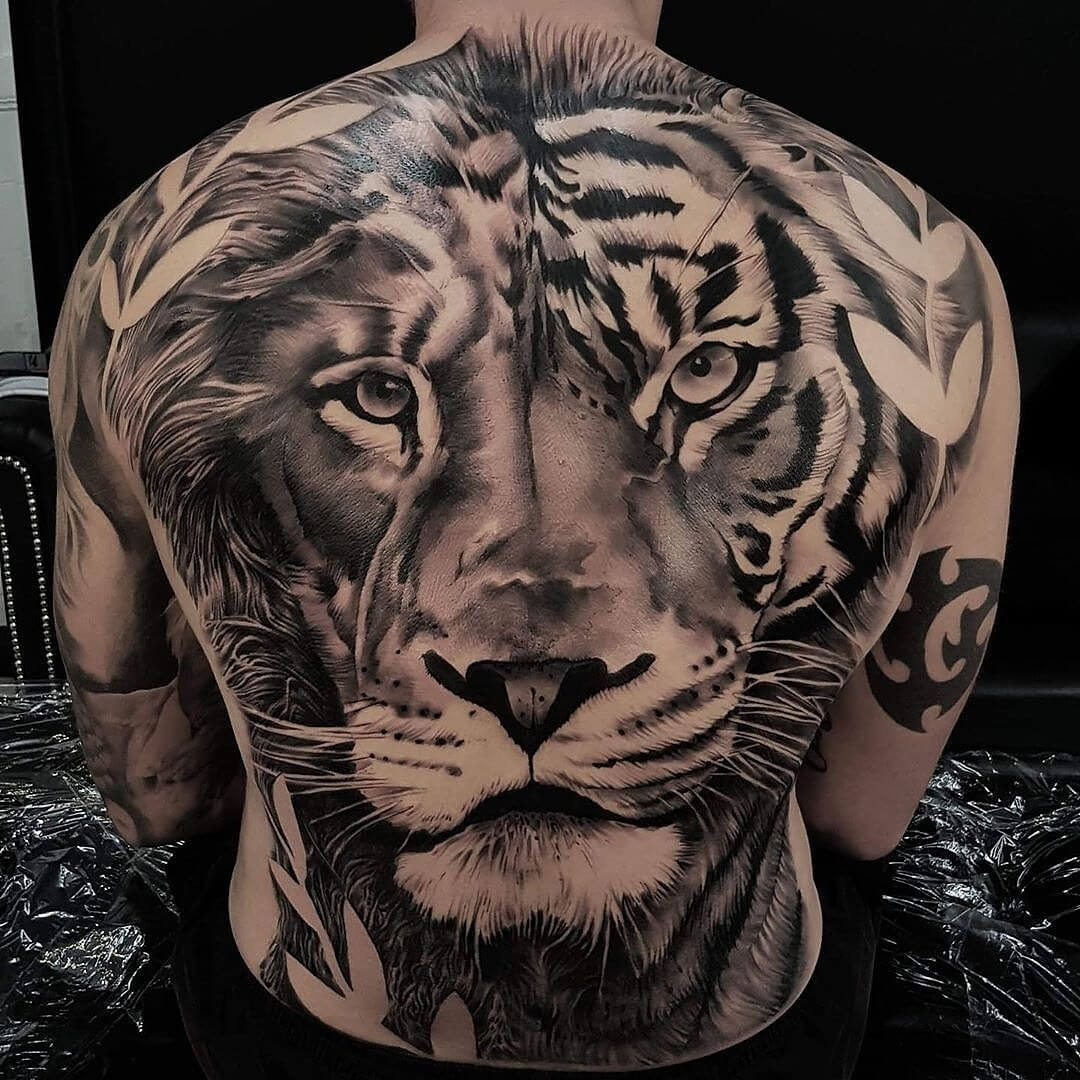 10 + Best Half Lion Half Tiger Tattoo Designs PetPress