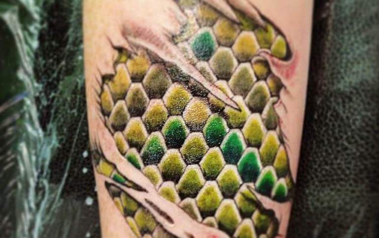 10+ Lizard Skin Tattoo Designs & Ideas | PetPress