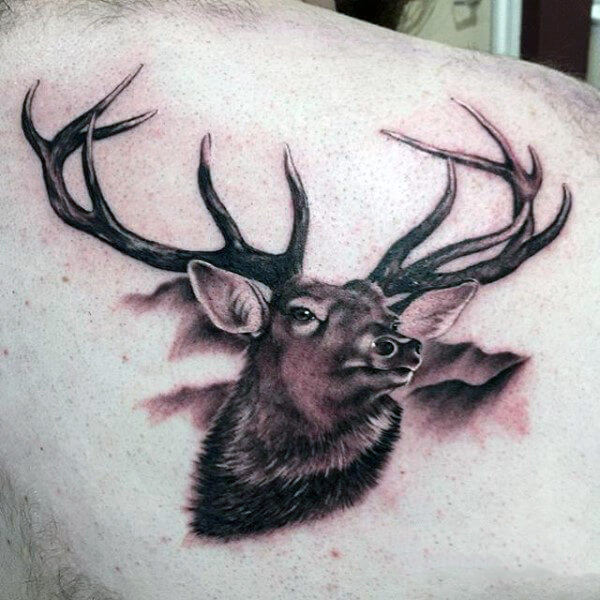 12+ Best Mule Deer Tattoo Designs | PetPress