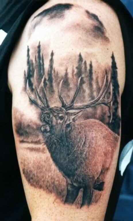12+ Best Mule Deer Tattoo Designs | PetPress