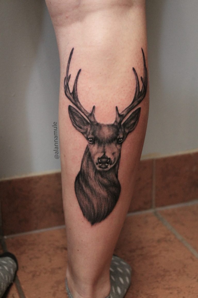 12+ Best Mule Deer Tattoo Designs PetPress